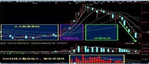 星空体育·中国官方网站中国股市：股价一直缓慢下跌大单却持续流入理解怎么回事吗？(图4)