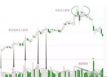 星空体育·中国官方网站中国股市：股价一直缓慢下跌大单却持续流入理解怎么回事吗？(图7)